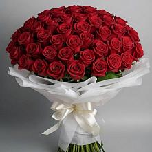 Букет 101 Красная роза Блэк Мэджик в Куликово