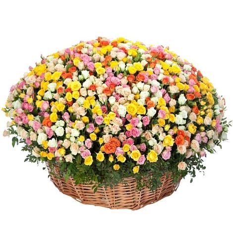Премиум букет из: Розы в Куликово