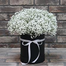 Цветочная композиция из Гипсофила в шляпной коробке в Куликово